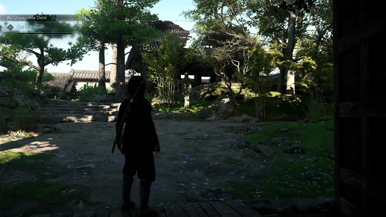 AC Shadows Pt. 2