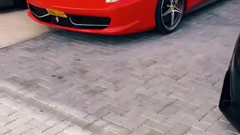 🏎️💎 This Luxury Car's Interior is PURE Elegance! | LuxurySportsCars