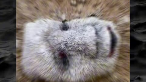 😨👻 Wait For The End... Creepy Paranormal Footage That Will Shock You! | TheHauntingHour