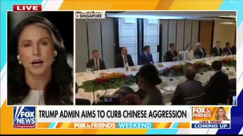 Director of national intelligence Tulsi Gabbard