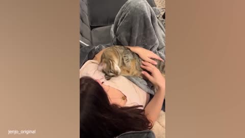 A Cat’s Love Is The Sweetest Welcome Home After A Long Day