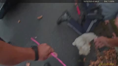 Bodycam video shows police officers rescue dog from storm drain