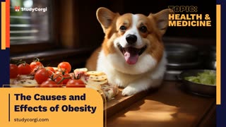 The Causes and Effects of Obesity - Research Paper Example