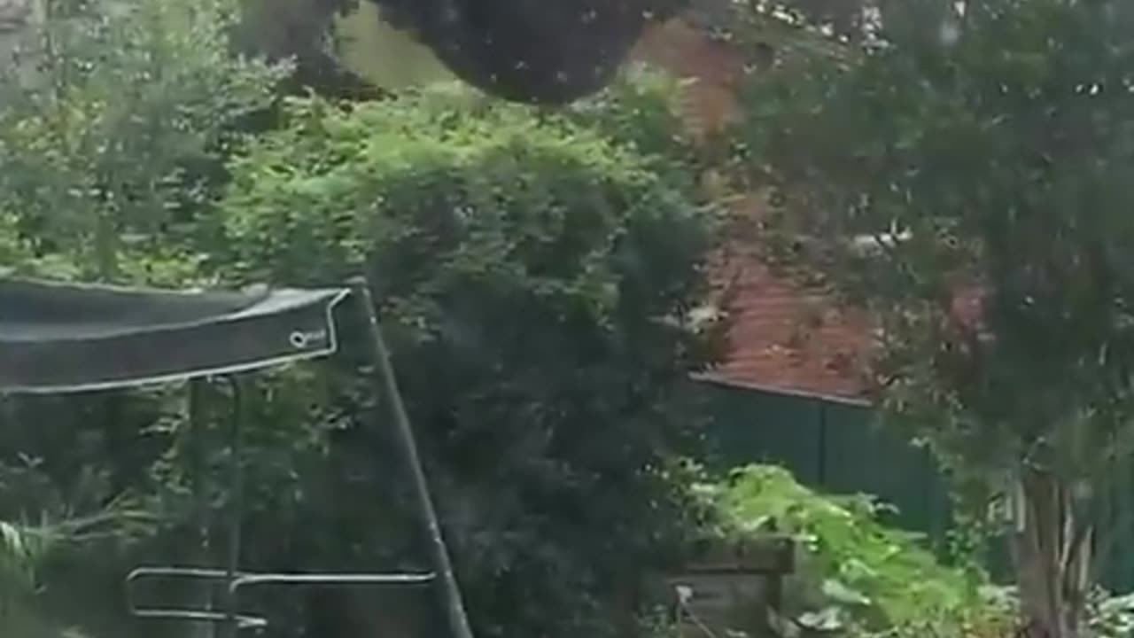 Welcome to Australia 🇦🇺