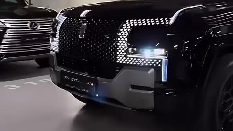 The New Chinese EV of the future