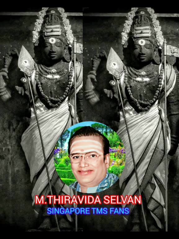 ONE SUN ONE TMS LEGEND M.THIRAVIDA SELVAN SINGAPORE TMS FANS 2025