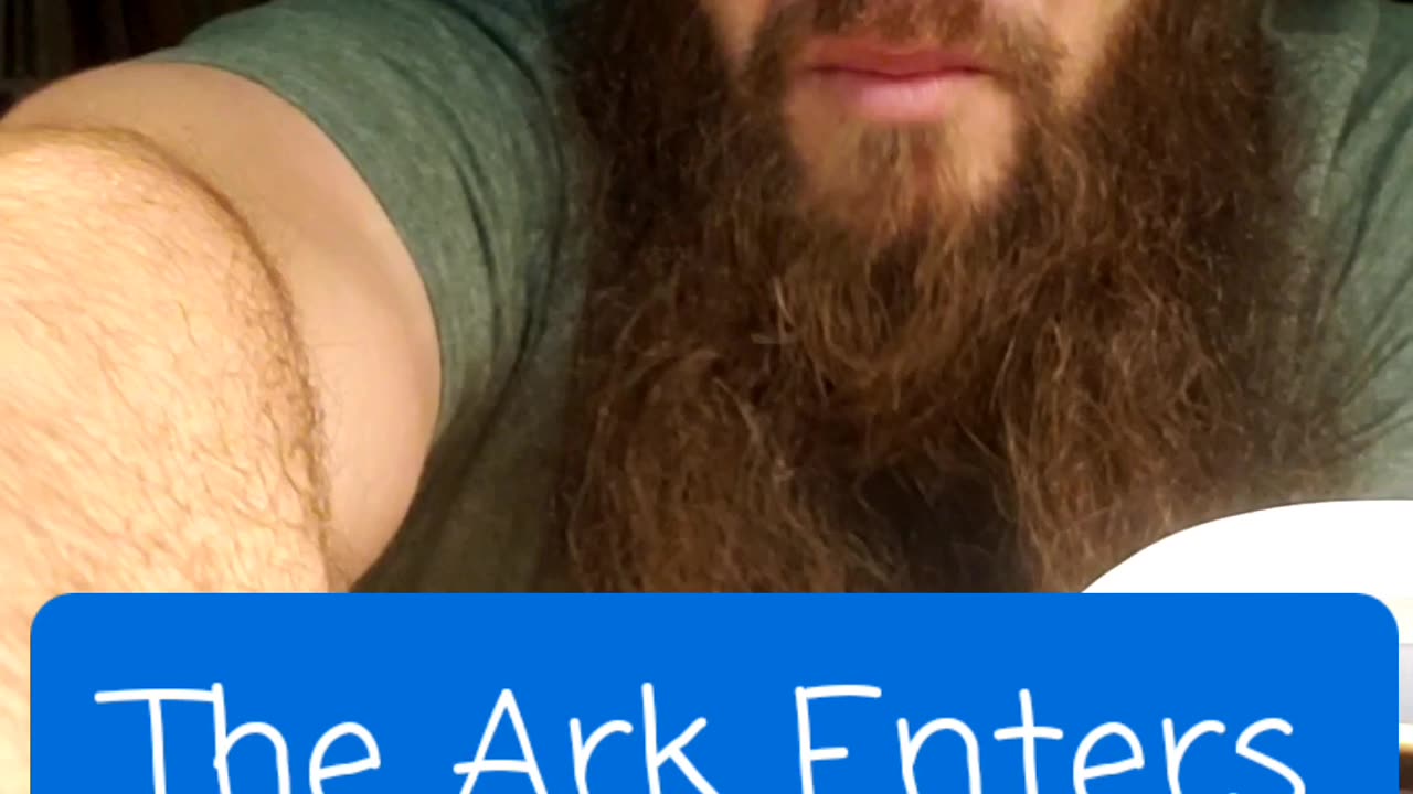 Bible Story: The Ark Enters Jerusalem