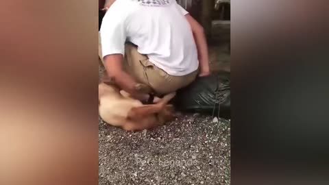 Interesting video