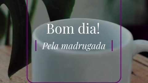 josecunha.pt
