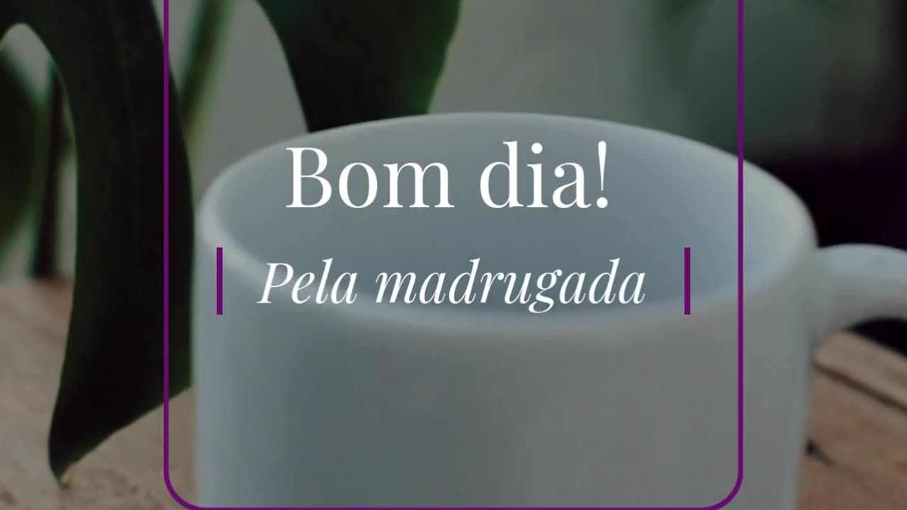 josecunha.pt