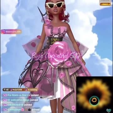 Savanna hops in MadamLo's box just before she gets clipped 8/7/25 #bigoclipandsip