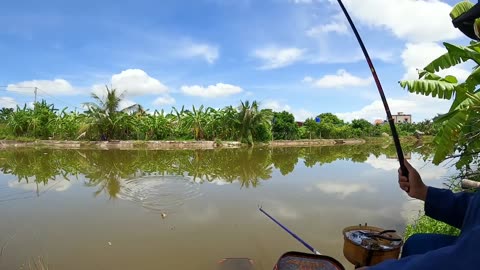 Dace Jig Fishing in River Shallow Pools
