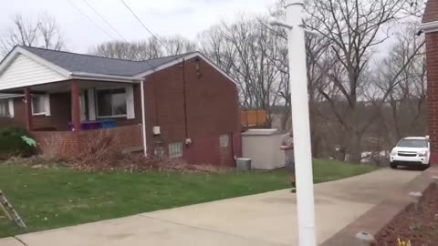 Pred Wanted To KlLL The Decoy Has Regrets -Pittsburgh Pennsylvania- donate via cashapp