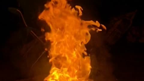 Daily Horoscope | Leo 🌟