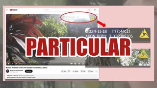 Fact Check: Video Claimed To Show Woman Arrested For Growing Lettuce Is NOT Police Bodycam Footage