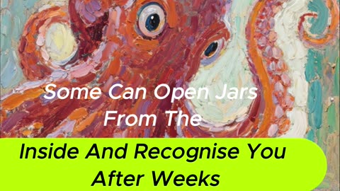 I Tested The Mind Of An Octopus And This Happened