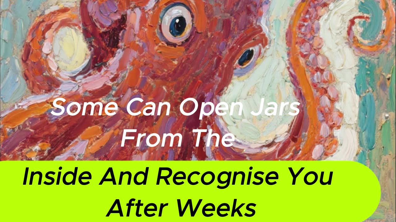 I Tested The Mind Of An Octopus And This Happened