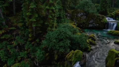 Breathtaking 8K Forest Scene | Waterfall |
