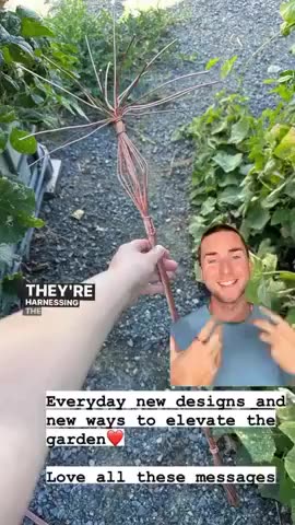 Electroculture for Beginners - a Sample Antenna - Cultivate Elevate