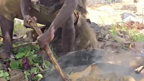 He can't wait for other to cook #baboon