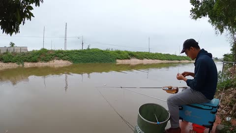 A Family Fishing Day for Bream by the Riverside