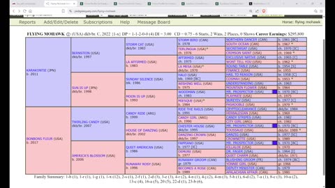 Best Derby Pedigree Profiles 2025 - Final Gambit and Flying Mohawk - Can Either Colt Handle Dirt?