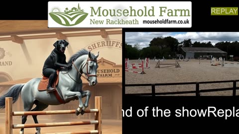 Mousehold Farm All Weather Riding arena