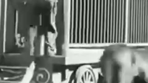 Charliechaplin - LUCK 7 day funny 🎬✨❤️ ⏰