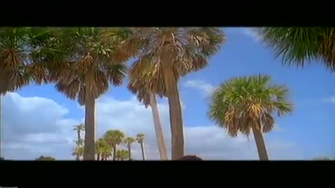 There is a party - DJ Bobo