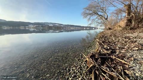 Dies und Das am See - 15.01.2025