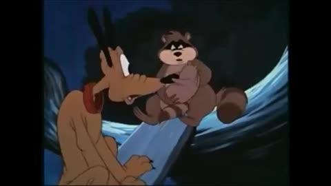 R’Coon Dawg - Spanking