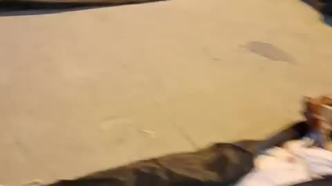 People Search for Loved-Ones Amongst the Dead(Tehran, Iran)