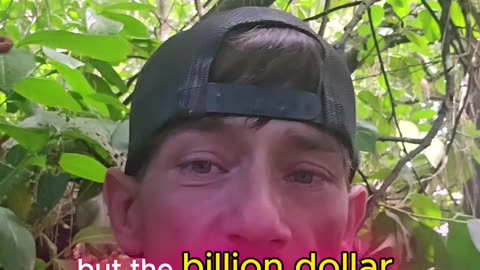 The BreakDown of CPS PT.3