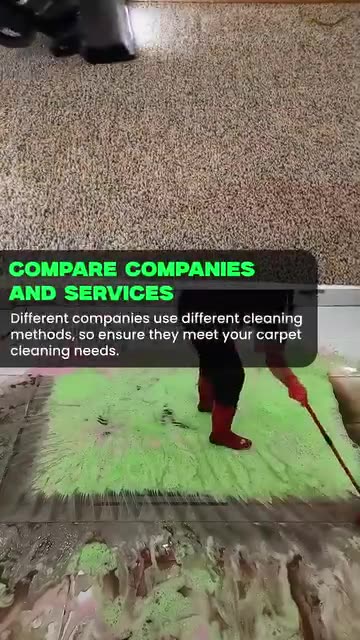 Professional Carpet Cleaning Services