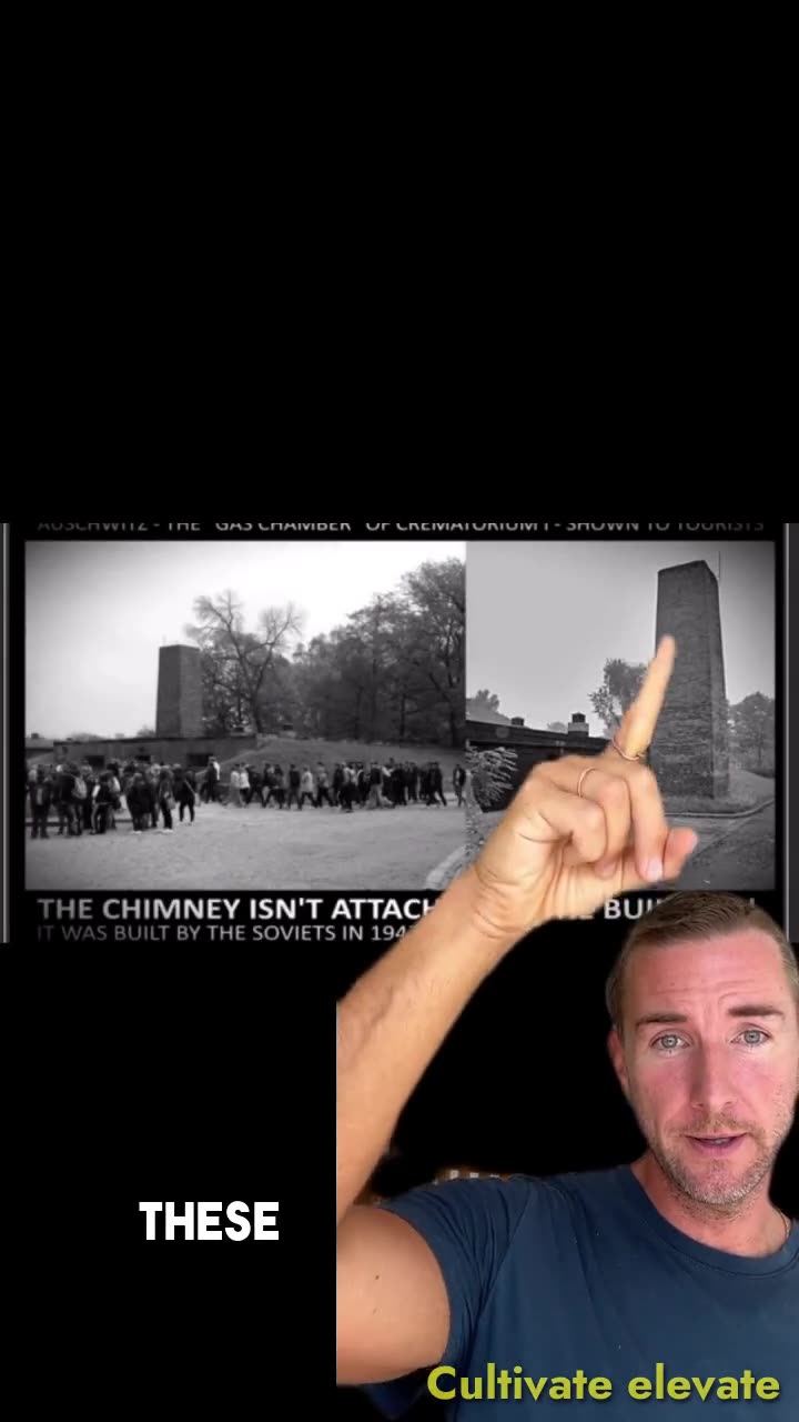 The Jewish Nazis of Hitlers Germany