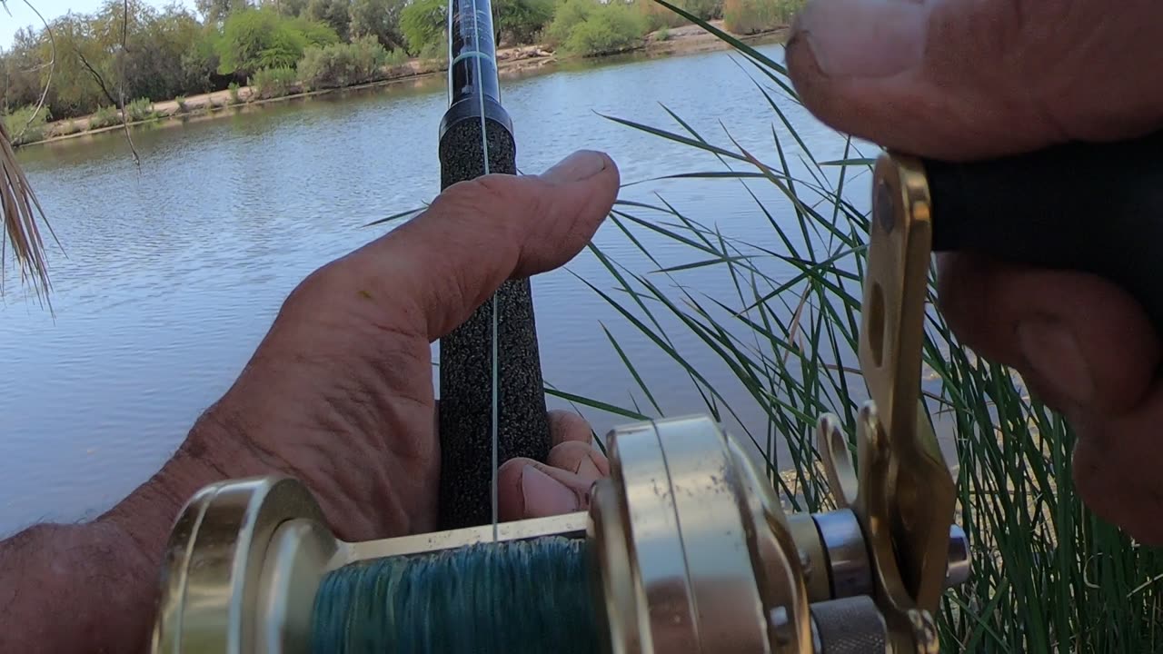 Double play at Fortuna Pond.