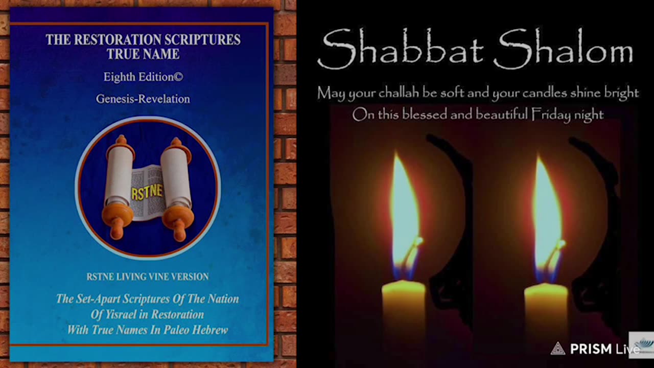 I Timothy 2; RSTNE Scripture Reading (Day 232) Bible on Audio; 7 to NW