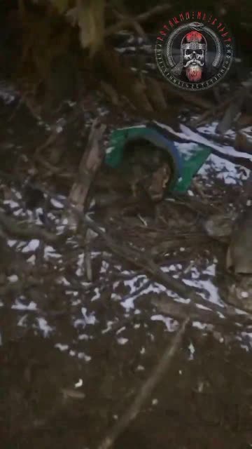 Ukraine war combat/related footage 12/30/25