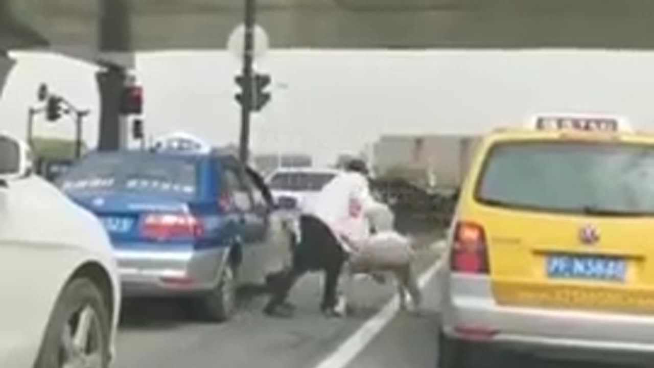 😭💥 Unexpected Chaos in Traffic! | FunFM