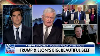 Gingrich Says Press Won't Tell You Most Important Part Of Trump–Musk Feud
