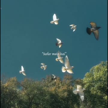 Jamana dekha sara...