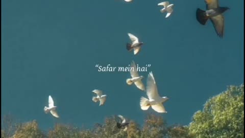 Jamana dekha sara...