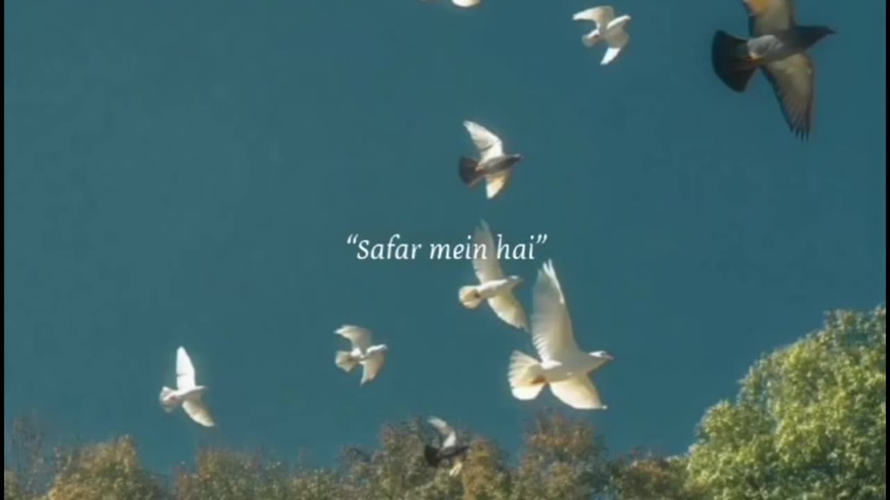 Jamana dekha sara...