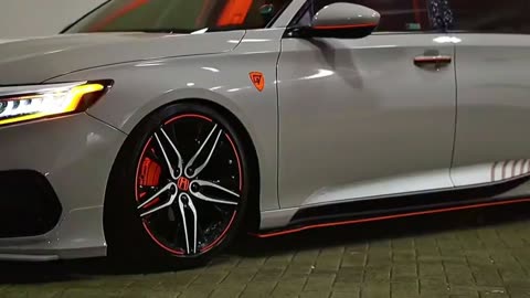 Soft Divide – where two worlds fade together.