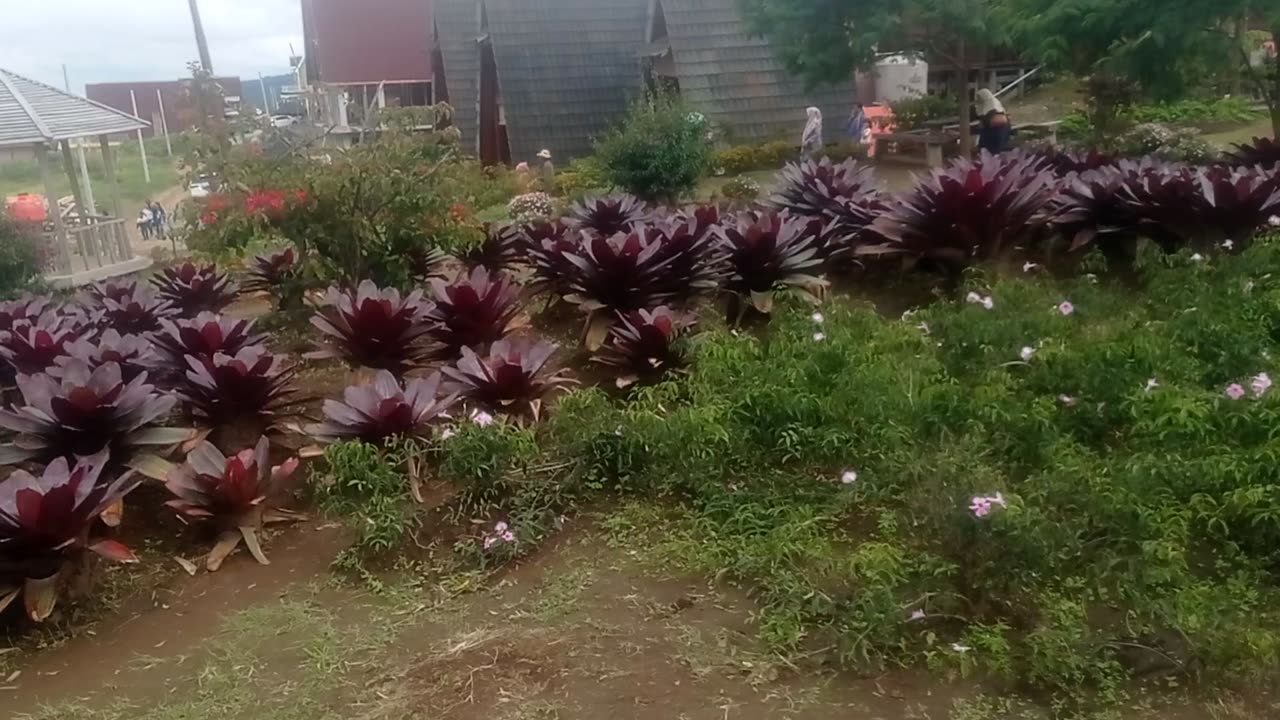 Adventure to Puncak 2000 | Stunning Mountain Panorama – Part 4
