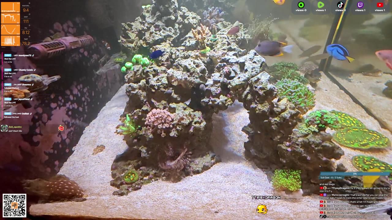 24/7 Real Live Reef Stream
