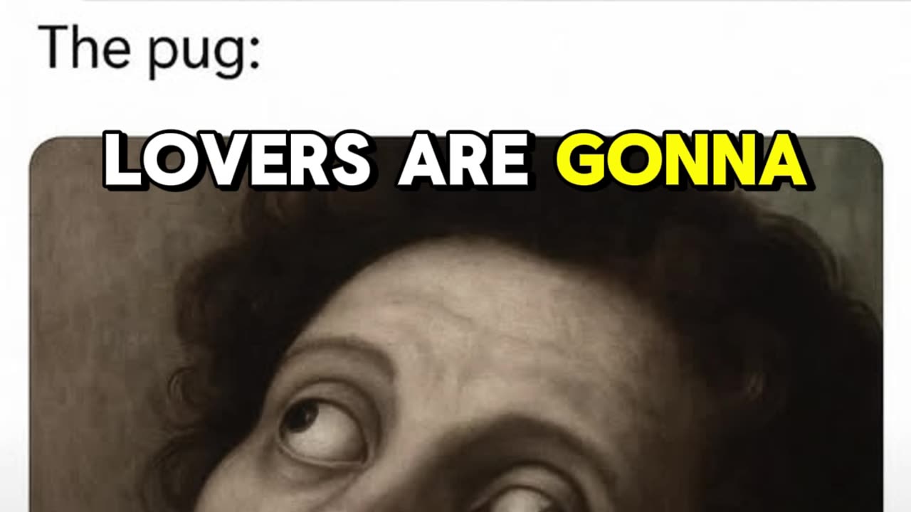 Pug Owners #meme #funny #humor