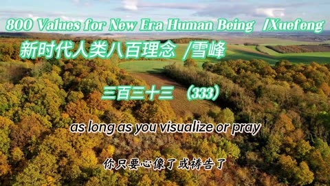 800 Values for New Era Human Being（333）