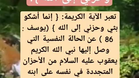 ما هو سبب نزول الايه انما اشكو بثي وحزني الى الله ٕ؟