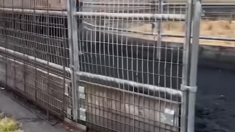 You’ll Replay These Funny Fails Again and Again! 😂🔥